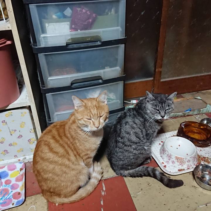 C5802d06 8e6f 4567 bb37 79defcc8a4db 1572426181378