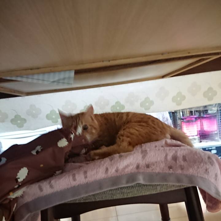 C58035fa bdd6 481e 8345 f001a436da7b 1640384855206