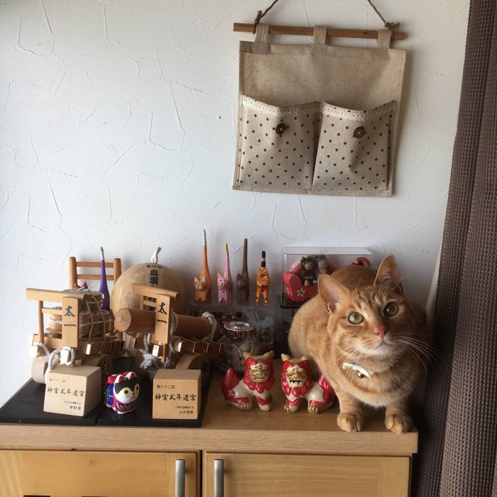 C5809c57 6903 4e5d 9647 b746e40d27c6 1525441351029