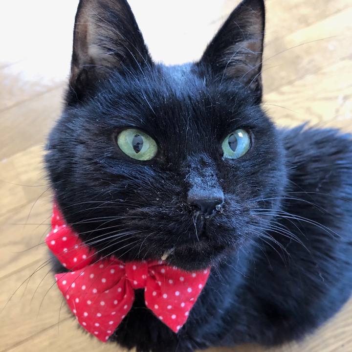 C580d1f8 3634 4f6e b19c b8a0984bb4f2 1566043502363