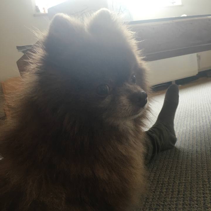 C580db93 826e 44d6 bc7f 5184746b7069 1530574449895