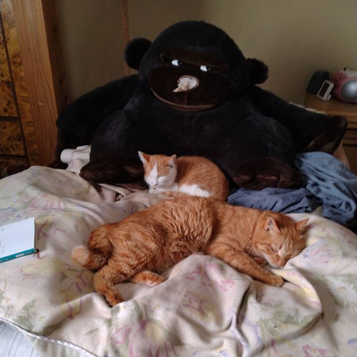 C580f950 455f 42e6 b679 689099b8b1f9 1735443217791