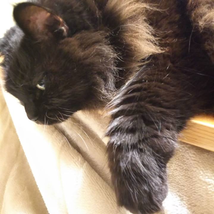 C58103fe 32bc 46a7 9863 22fde9757a7b 1572608468730