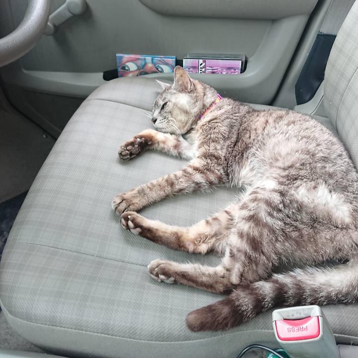 C5811a61 c50c 4636 b23b 8ff864f7c964 1598341814010