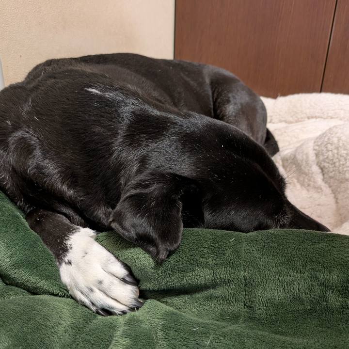 C5814003 7ad1 4fe1 8661 fa0bbf76e294 1762292824364