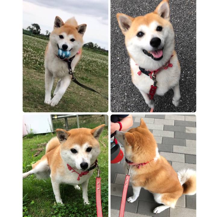 C58144ce a765 4b20 8fb6 7333efbc12f1 1562382367868