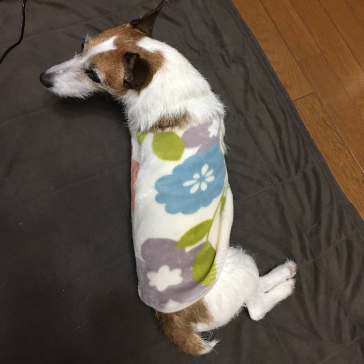 C5814f00 4a2c 446b adb3 c7c5d3ab3e14 1587255075309