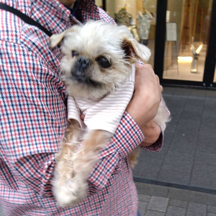 C58157d7 ffc7 48b7 a2ab eeb941202a26 1747490752570