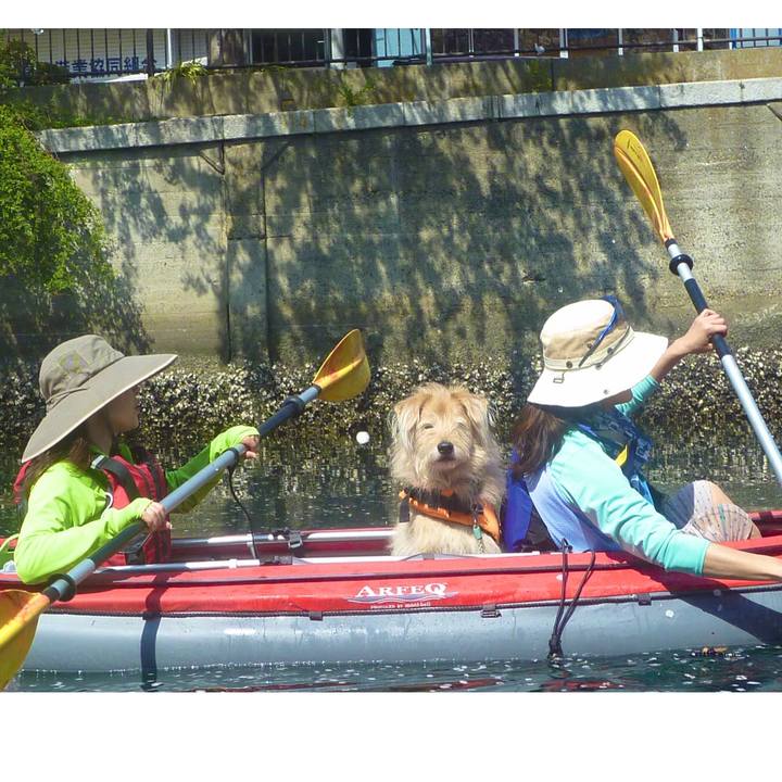 C5819adb dbb1 4f4a b8f2 c2348d9f16fb 1554679662117