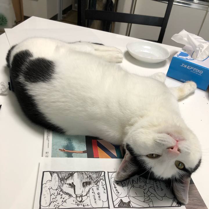 C5819d87 ea7c 4a2b acd4 55c2d71690f5 1561018938014