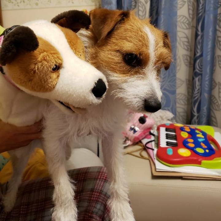 C581a62f a5f6 4ce1 adcc def999274f9b 1561702806345