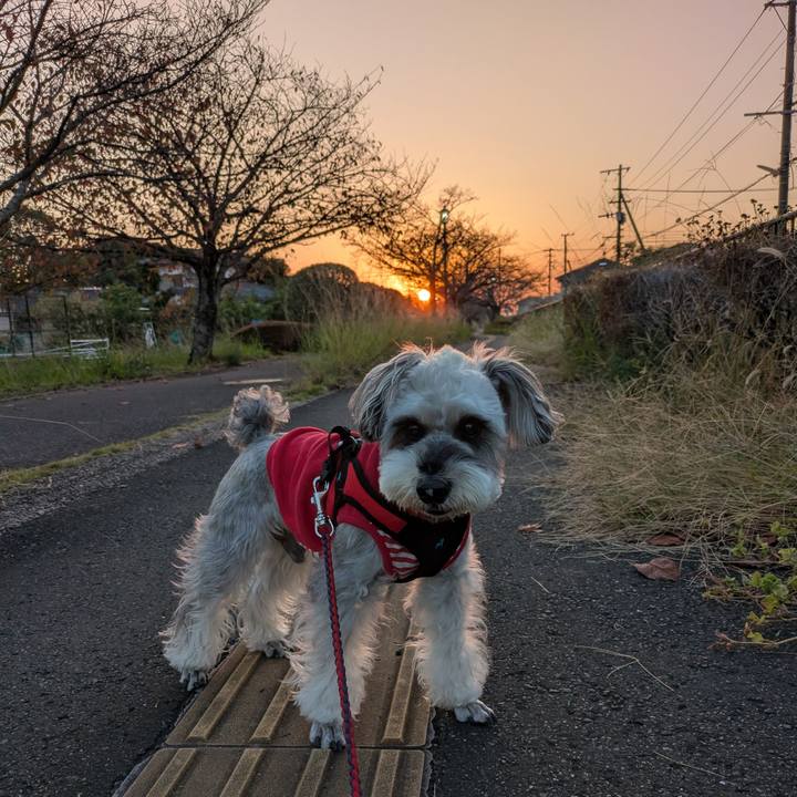 C581b5c0 3563 4e92 a753 e4f045d348c8 1763131585910