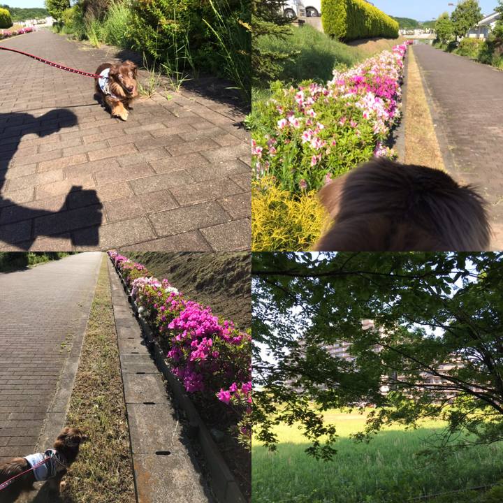 C581ee74 f1d4 4905 8c10 e5aedd45eea4 1557445705971