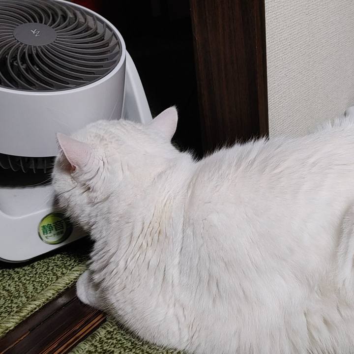 C581f73c c4aa 4f43 88b5 0c06f6a2117b 1653570283003