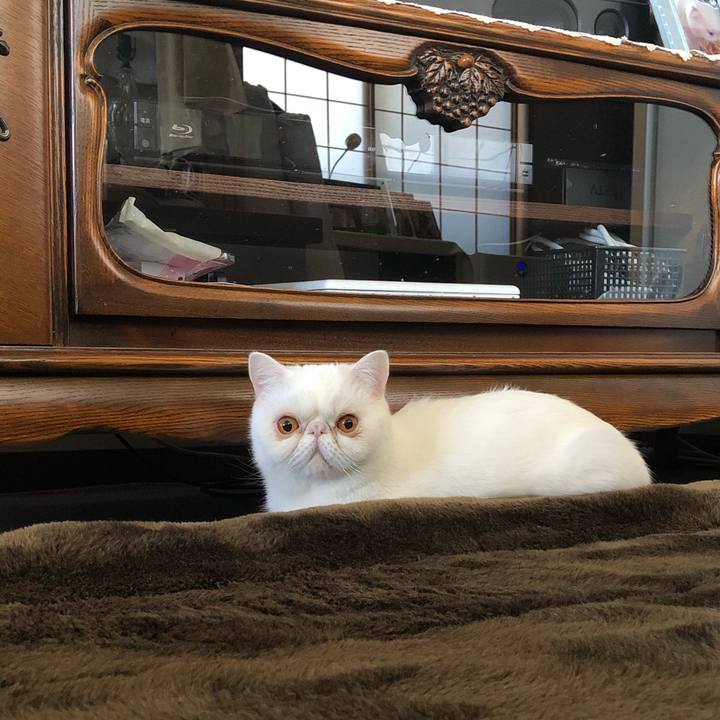 C581ff15 9e15 42c0 953e 5a2a3ae98eb4 1613300083005