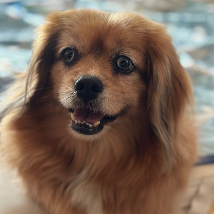 C58215b7 b19a 4924 9579 2e3a02b72c86 1751756760007