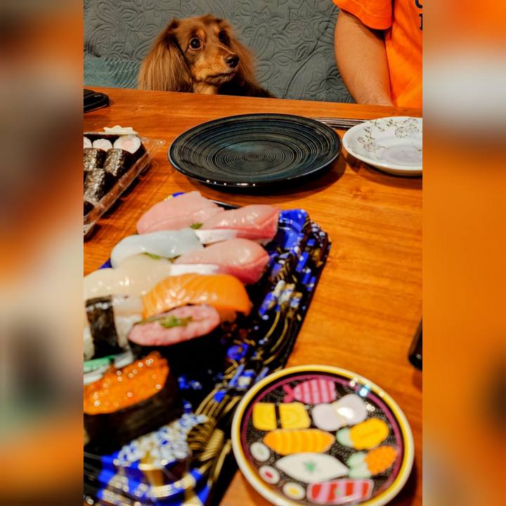 C5823cab ecb9 40dc 9735 e6fc9057ce68 1731244891571