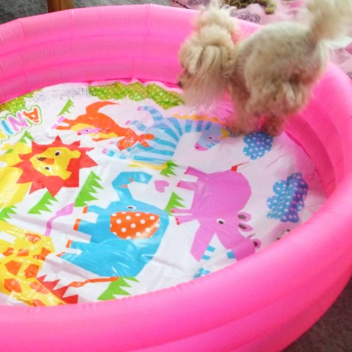 C5825546 6e8e 4e1d a4d2 8f178b0b5454 1530747793716