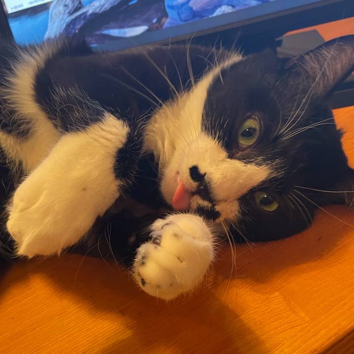 C58290d6 0faf 486a b074 90e8da762731 1738152573150