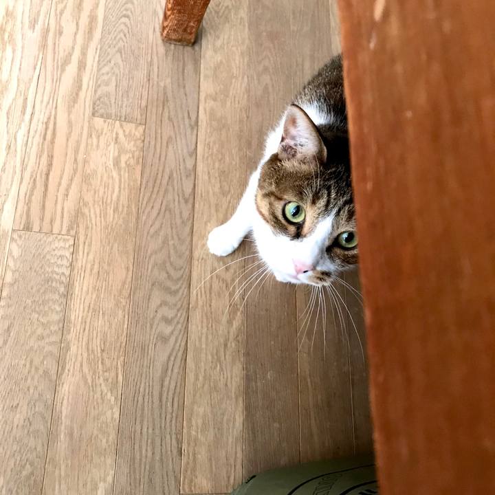 C5829122 f316 4870 bb62 9afcab610c0b 1599553939664