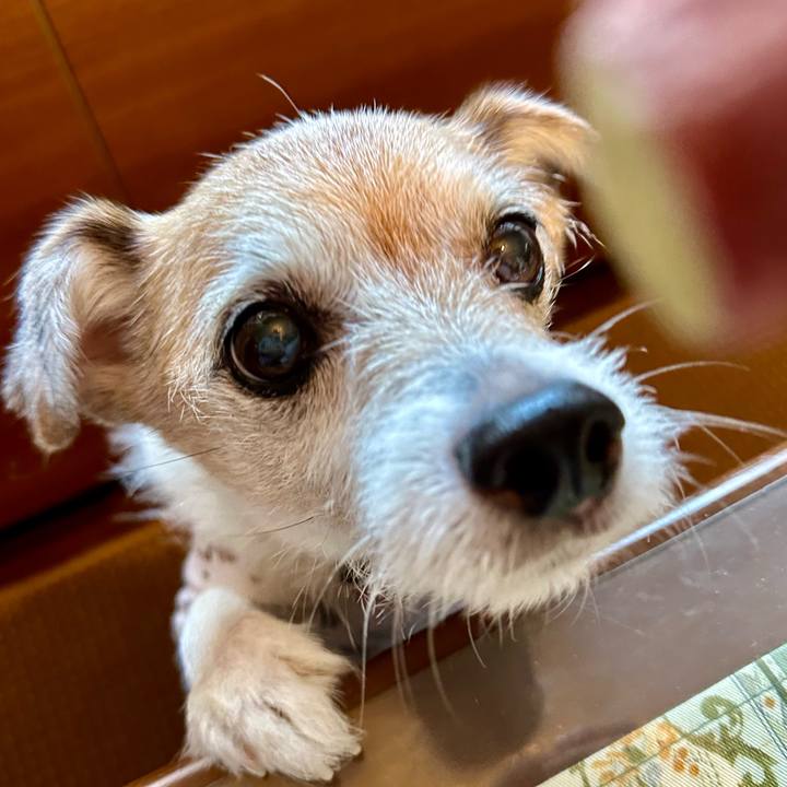 C582b54f 0417 428e 9388 ee487d85120e 1697100955517