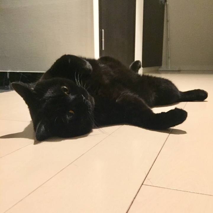 C582c74a 56de 4920 ad46 956746cbc05d 1567773038553