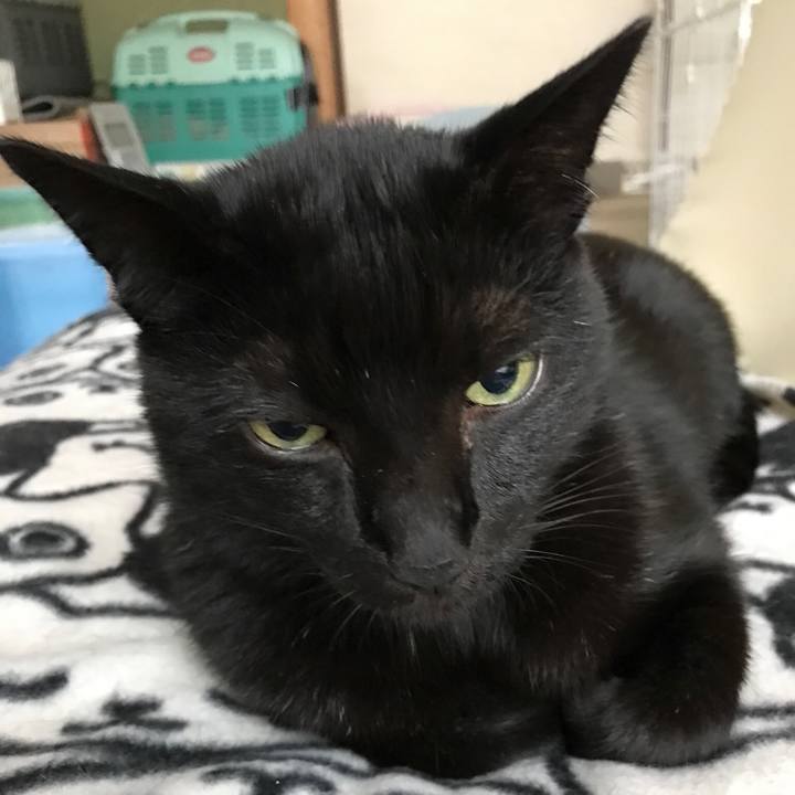 C582dedf 2b8a 4595 b002 b4800ee85227 1508032867218