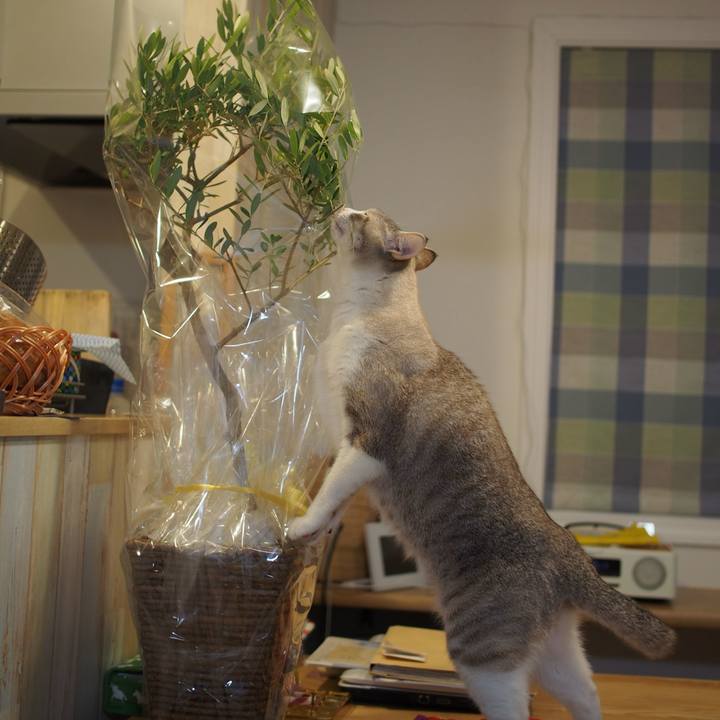 C582e8a6 ae24 462c 86ee 05b8ba3cf667 1551524861167