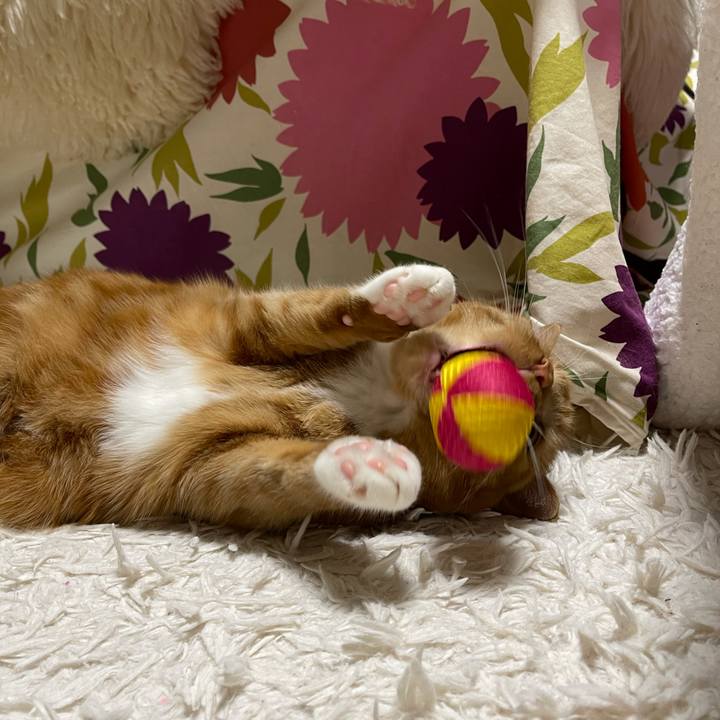 C582fd7f d7f6 4b17 a228 966206414819 1643292910695