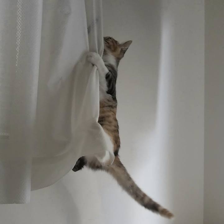 C583148a 778c 4c09 bab3 f15a846597c0 1630055444703