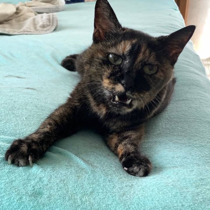 C583368d b619 491a a5e9 1b20b677ccff 1661132982871