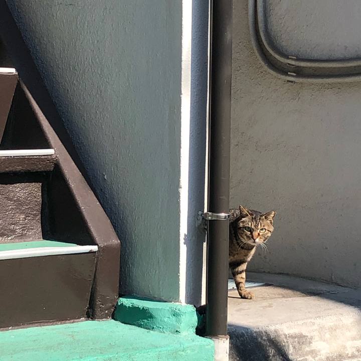 C5833ee1 7e2e 49d5 b87d 9a87311b27dd 1589718155651