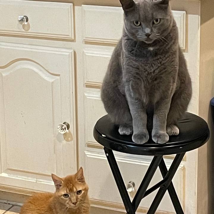 C5835bb1 1706 4862 9323 f5f84f2ba1bc 1769134844367