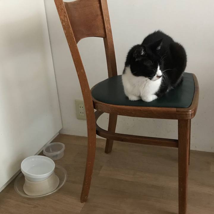 C5836db8 3ece 478c ae05 bd906fd0dbfb 1526979620565