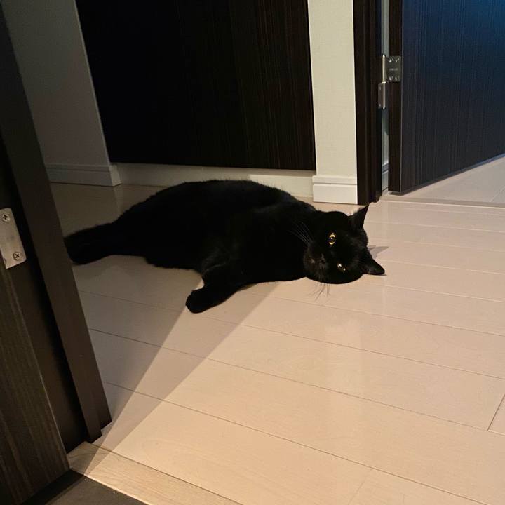 C5837178 42bf 4daf 94aa 0f5aa44dc3ab 1728476389358