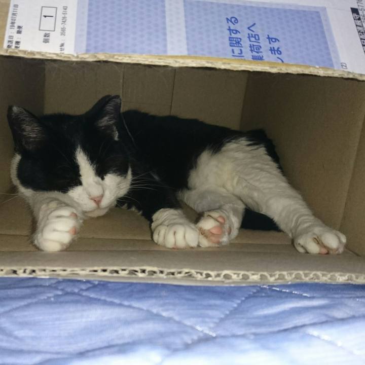 C583c76c a0c0 4ed7 82b5 66ec47d4d1e3 1564035354351