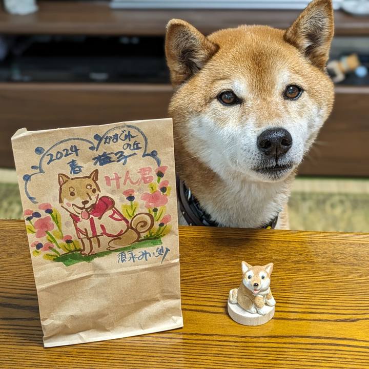 C583e95b e2a5 4c52 bf77 1a05979fcff5 1714651796870