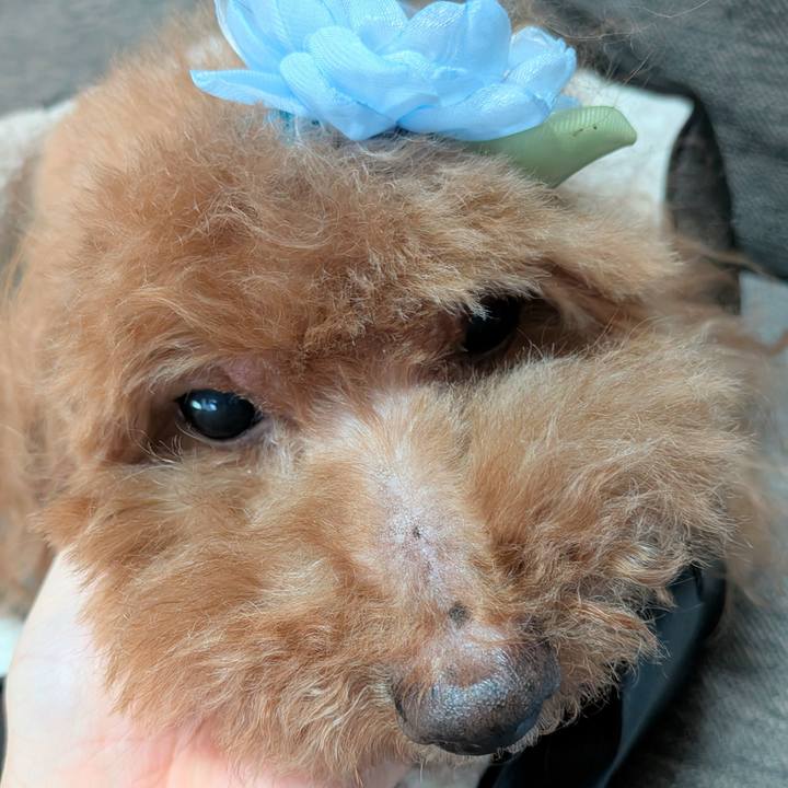 C583fd8b d20e 4f77 b263 e173aeea0d3f 1770420383896