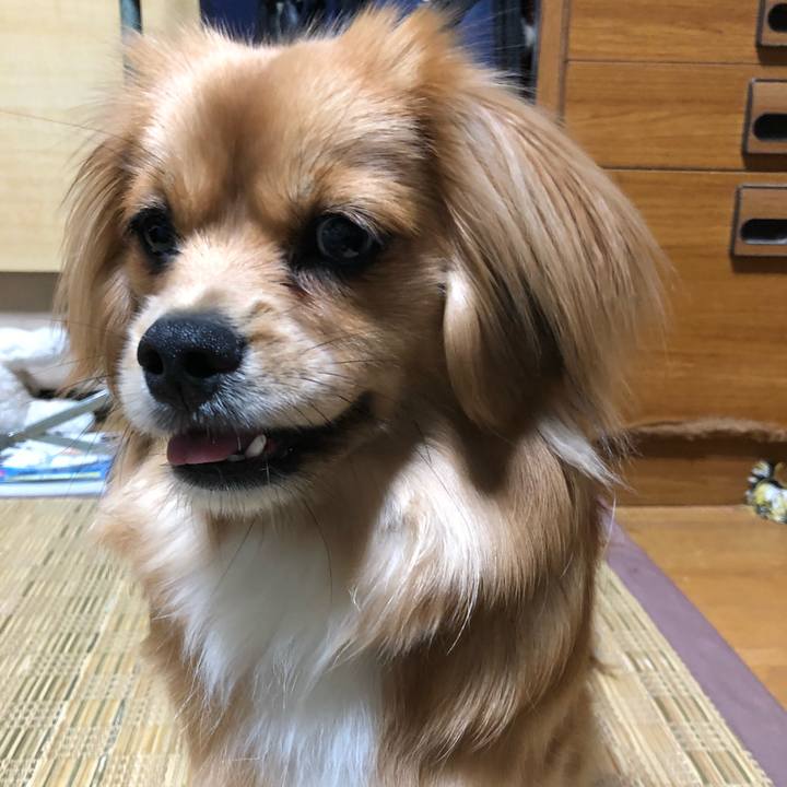 C58414cc 9422 44d9 94a2 66255ded2937 1524958605979