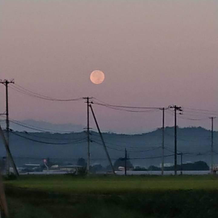 C584175d 8c7e 40dd a440 a8f22148d05f 1662843299963