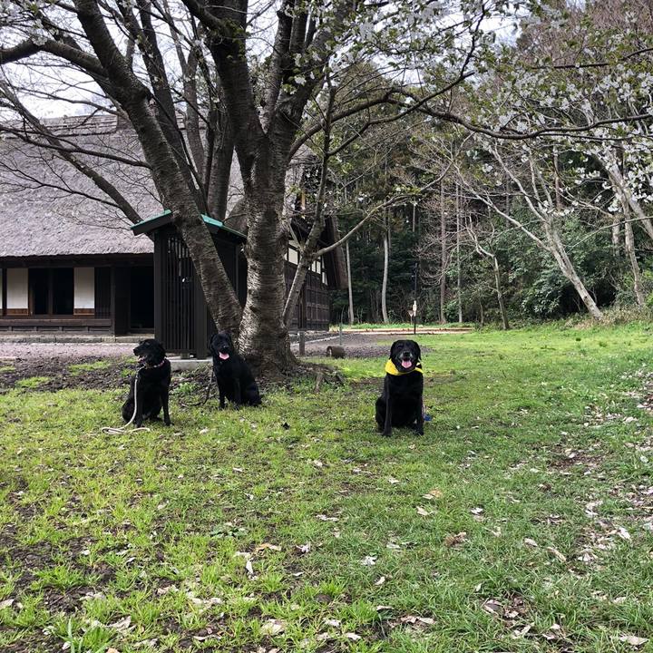 C5841fac e508 47cc 961c a8d3f2953c8e 1584879903555