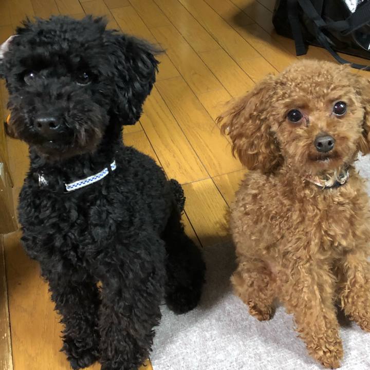 C5842637 f699 4d73 9038 a8bd695b7bf7 1519941875919