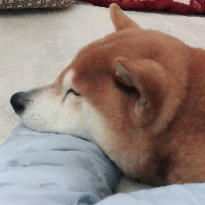 C584a118 6515 47d7 85a6 84e1bd0961b8 1553553536862