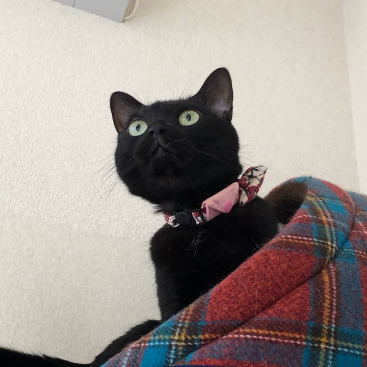 C584a720 8d0d 44e4 b43b 988e6015f671 1581062148556