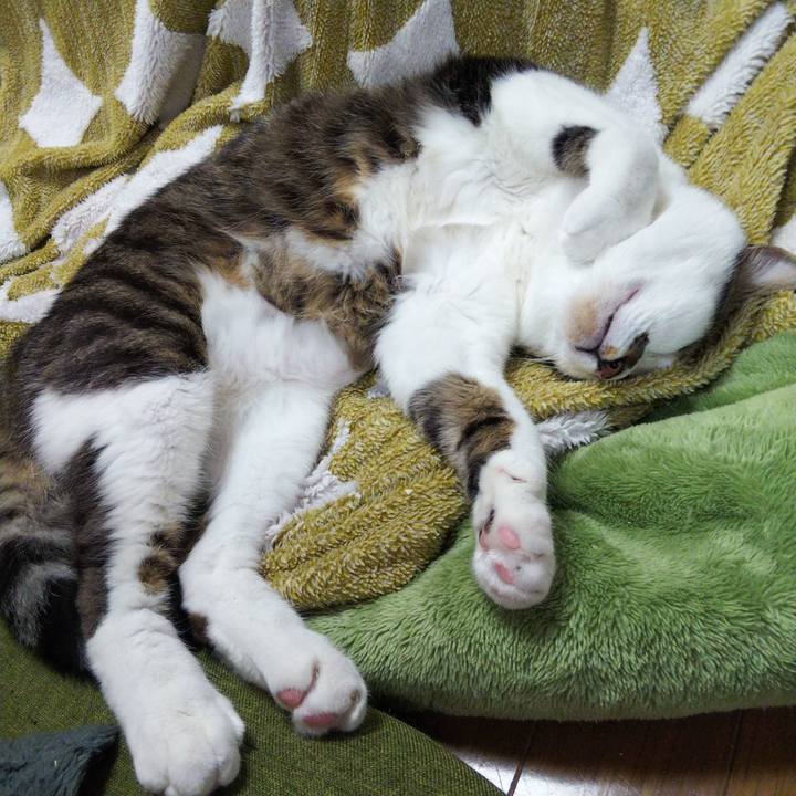 C584bc67 8c13 4d2d ac7a b2221460c6ba 1645188073101