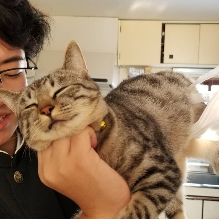 C584c0b6 99f3 4eca a7d1 dd2184d9ac00 1674484173998