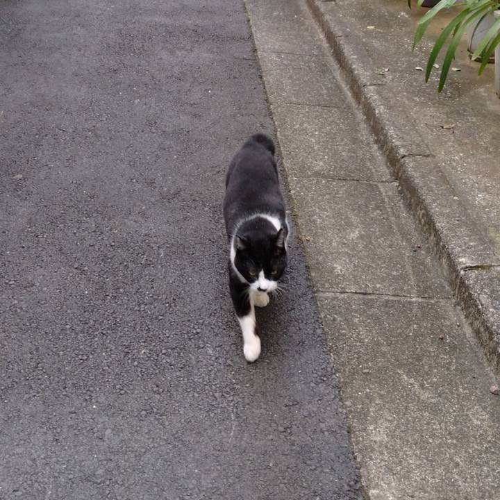 C584d50e 19a7 4c60 9a15 af3a20a0e4e3 1698707690597