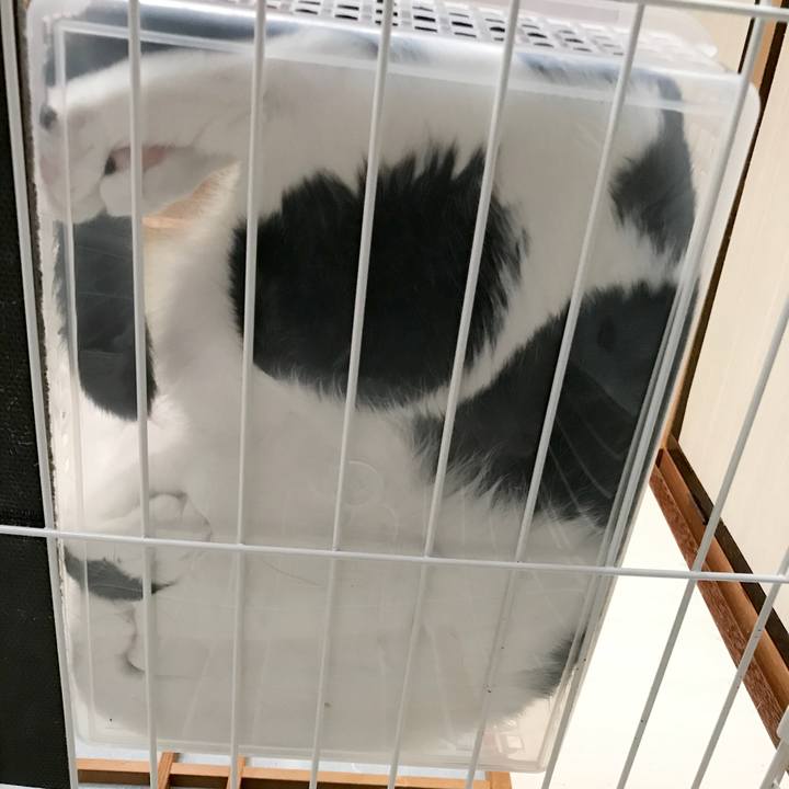 C585062a a3eb 4b27 ae43 2f47c48f9483 1536369341317