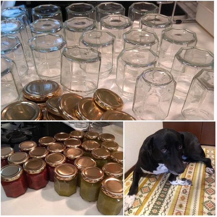 C58532ab 493e 45a4 a128 2c160cf3065e 1627287762454