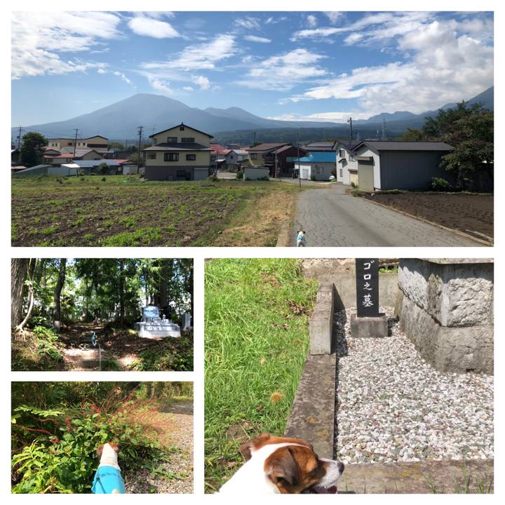 C585447a b22f 47e7 a57d 02e69636e7e0 1569753244802